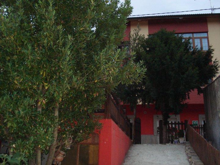 Apartamentos Rurales Les Martes Felechosa Eksteriør bilde